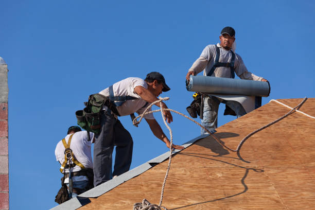 Best Roof Waterproofing Services  in Leonard, TX