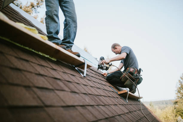Best Gutter Installation and Roofing  in Leonard, TX